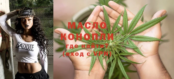 мдпв Богородск