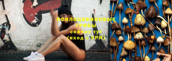 экстази Богданович
